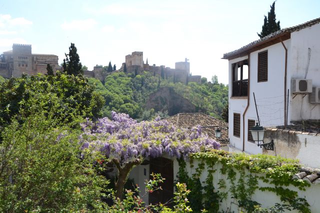 carmen granada esencial